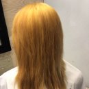 하담