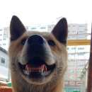 서문주유소 이미지