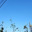 한사유치원 이미지