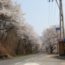 토마토빌리지펜션 이미지