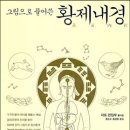 그림으로 풀어쓴 황제내경 지토 편집부 저/홍순도, 홍광훈 역 | 김영사 이미지