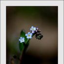 하늘담다 이미지