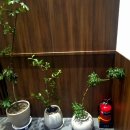 용지로239번길 | 🍽️가로수길 맛집 🐟 장어덮밥 "양산도" 에서 보낸 🌙 번개모임 식사후기🥢[혜이의 맛집]