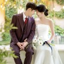 마음모음 | [결혼/Wedding] 결혼 준비 업체 모음 + 간략 후기✨