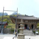 한국화(중급) 이미지