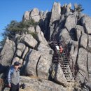 남산철탑 이미지