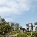 돈내코힐 리조트 이미지