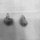 메이동물병원 이미지