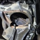 신호모터스 이미지