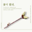 엄마랑 알콩달콩 책 놀이 (2기) | 자연관찰대회 준비, 봄 나무 관찰일기 이렇게 했어요! – 파나나 프로젝트 후기