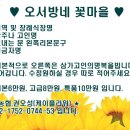 강원효장례문화원 이미지