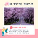 전라남도대학교 국동캠퍼스 (앞) 이미지