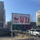포항 문덕 맛집 갈매기살이 맛있는 오늘도꿉자 찐후기