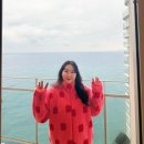 대포항 | 속초여행 ep1 : 양지말화로구이, 카시아속초 체크인 디럭스트윈 후기, 대포항수산시장