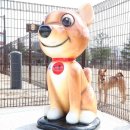 덕수공원반려견놀이터 이미지