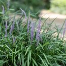 가락로L 이미지