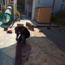 늘봄어린이집_경계10m | 모래소독 전문 업체 키제코 경계석 설치 39580번째 세종특별자치시 늘봄유치원