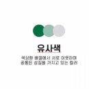 캔두 이미지