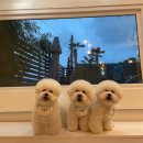 멈무아지트 이미지