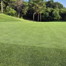 옥스필드