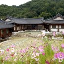 하늘나리농촌체험마을 이미지