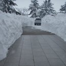 전기통천 이미지