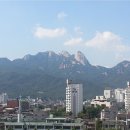 태영중앙공인중개사사무소 이미지