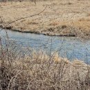 가평생활체육공원 이미지