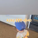찬우물버섯농장 이미지
