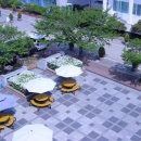 배화여자대학교 이미지