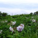 설천면011 이미지