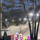 지산포레스트 스키장 리프트권 요금, 할인 정보, 운영시간, 내돈내산 이용 후기