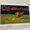 GS25춘의우남점 | [테니스 정보] 경기도 부천 세컨드랠리 부천점/부천 무인 테니스장 추천/실내 테니스 연습장 추천