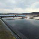 곰섬해수욕장 이미지