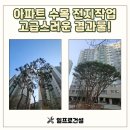 (주)대원건설 | 아파트 수목 전지작업 고급스러움