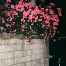 ART당구장 이미지