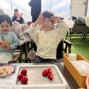 장스아이스크림 이미지