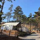 영흥도관광펜션 | 인천 대부도 근처 캠핑장 가성비 숙소 영흥도 블랙트리 글램핑