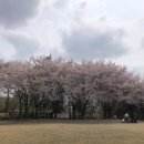 수학상상수학교습소