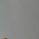 연세편한내과의원 이미지