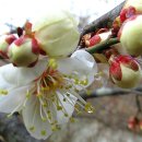 소현1리 이미지