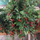 보리수미용실 이미지