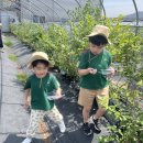 한준농장 이미지