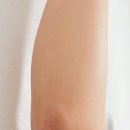 내모메는 이미지