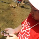 큰별자리어린이집 이미지