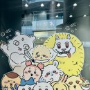 션샤인캣 네이버블로그