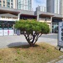평택자이부동산공인중개사사무소 네이버블로그