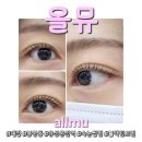 계룡로(유성온천역-만년교) | [대전/봉명동] 올뮤 :&gt; 유성온천역 속눈썹펌 블랙틴트펌 맛집 추천