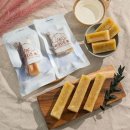 태인 애견 이미지