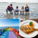 (주)해양약품 | [주말 가볼만한곳] 고물가 시대 공짜로 즐기는 서울 근교 인천 마시안해변 갯벌체험 꿀팁과 사천 삼천포...